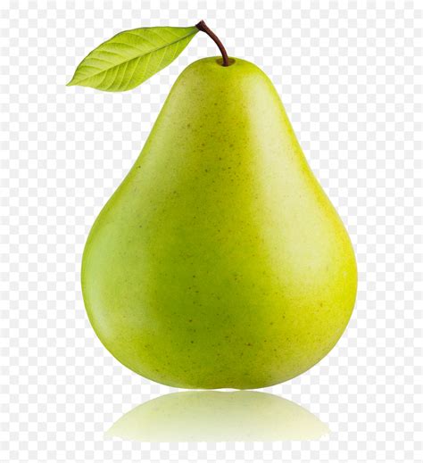 Free Pear Png Transparent Images Download Free Clip Art - Pear Png Emoji,Pear Emoji - free ...