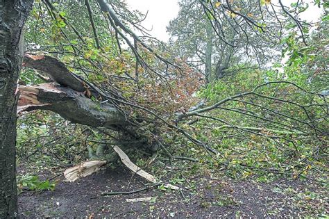 Hurricane Ophelia - Tipperary in Photographs - Photo 1 of 25 - Tipperary Live