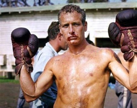 Cool Hand Luke | Cool hand luke, Paul newman, Luke