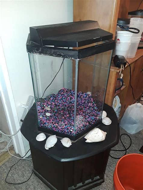 20 GALLON HEXAGON FISH TANK for Sale in Queens, NY - OfferUp