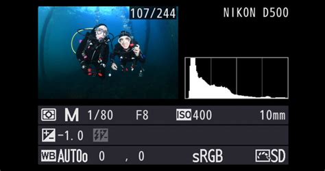 Camera Settings for Underwater Photography