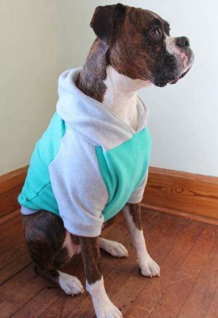 Diy Dog Sweater No Sew Large Ideas 48 Ideas | Собаки, Одежда для собак ...