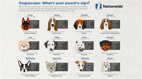 What Dogs Say About Your Personality