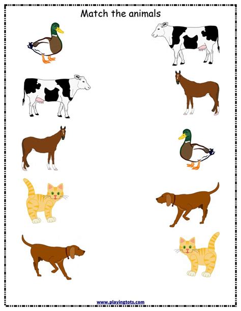 Animal Matching Worksheet - Here Is Funny Animal Matching 224 ...