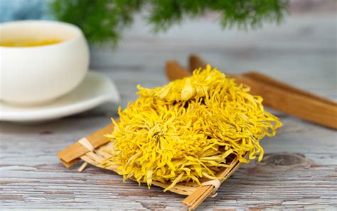 Chrysanthemum Tea – Types, Benefits & More - Teamille