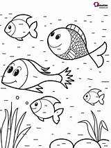 Fish Coloring Preschool Pages sketch template