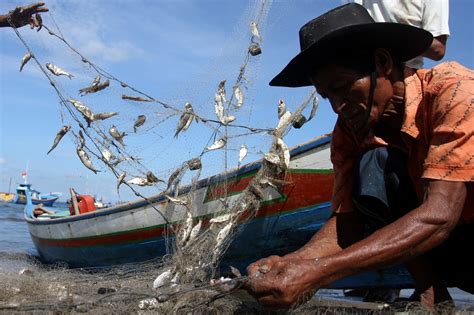 Pendaratan ikan 2020 merosot 5% | DagangNews