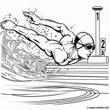 Swimming coloring page For The Olympics Download Or Print Free sketch template
