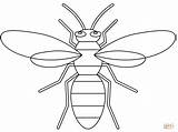 Hornet coloring Page  Free Printable Coloring Pages sketch template