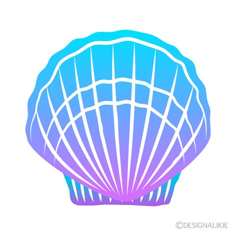 Colorful Shell Clip Art Free PNG Image｜Illustoon