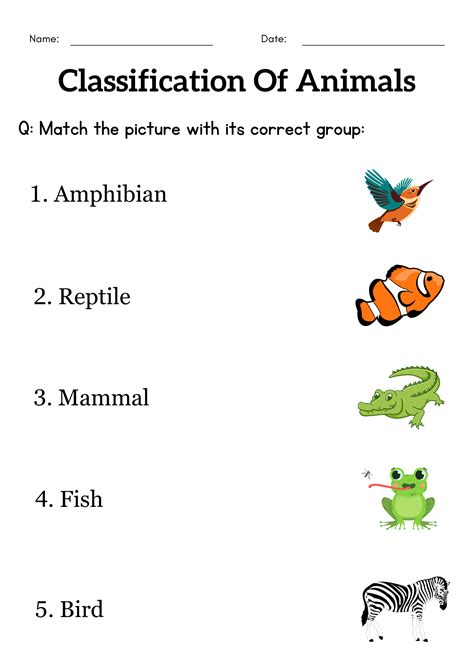 Classification of animals worksheet for grade 1 - animal ... - Worksheets Library