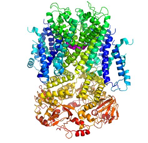 Structural Biology | Cryo-EM Services