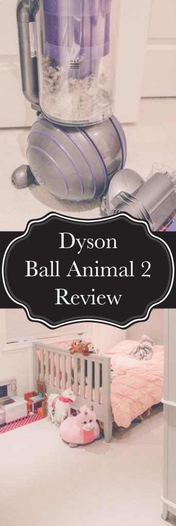 Dyson Ball Animal 2, where have you been all my life! | Kitchen Trials