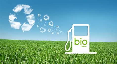 Biodiesel: A Solution to Energy Crisis in Pakistan - RAZ TV