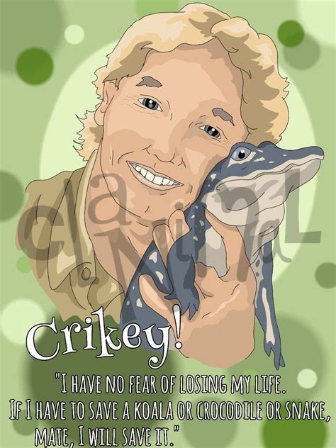 Steve Irwin Tribute Mug / Tshirt / Hoodie / Poster Eco - Etsy