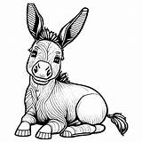 Adorable Donkey Coloring Page · Creative Fabrica sketch template