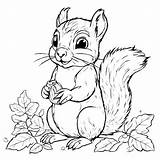 Download Cartoon Squirrel Holding A Leaf Coloring Pages Online  sketch template