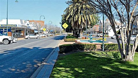 Narromine Shire Council defends parks and gardens maintenance | Narromine News | Narromine, NSW