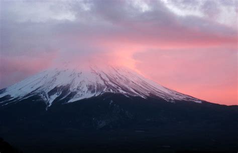 あけましておめでとうございます_Mount. Fuji in rose pink | Mount. Fuji in ro… | Flickr