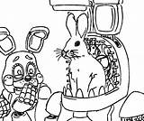 Fnaf Coloring Pages Springtrap At GetDrawings  Free Download sketch template