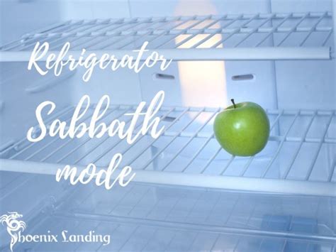 What Is Refrigerator Sabbath Mode? Useful Things To Know