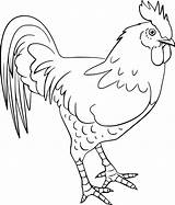 Gallo Y Sol para colorear Imprimir E Dibujar –ColoringOnlyCom sketch template
