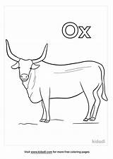 Ox Letter Trace Worksheets Coloring Oxen Activities Preschool Printable  sketch template