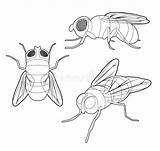 Cute Fly Cartoon Coloring Page Black And White Sketch sketch template