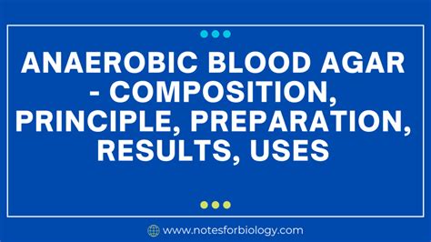 Anaerobic Blood Agar