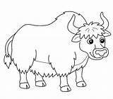 50  Yak Coloring Pages Free Printable PDF JPG PNG & Online sketch template