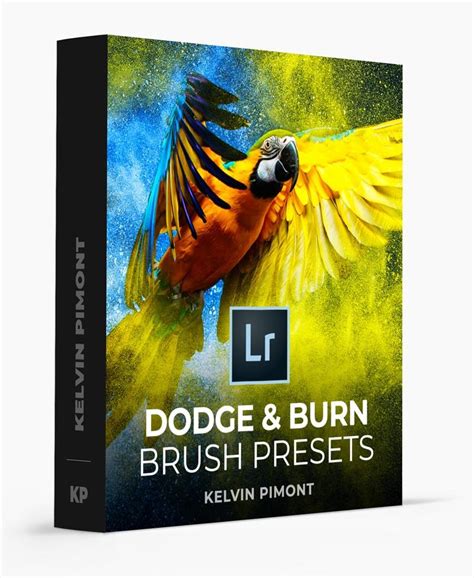 kelvin designs brushes free download - oblivion-wrye-bash-tutorial