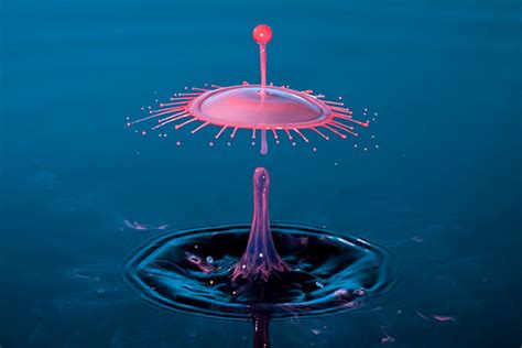 Water Drop Photography - Photography | Free & Premium Templates