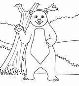 Bear Standing coloring Page  Download Print Or Color Online For Free sketch template
