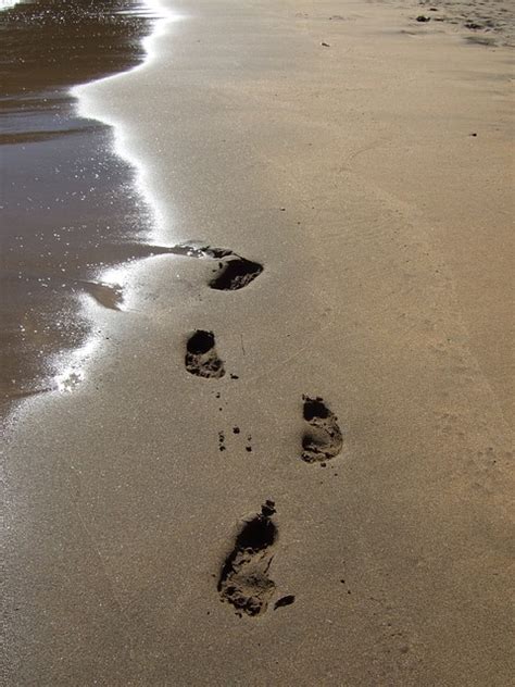 Beach Footprints Pictures, Photos, and Images for Facebook, Tumblr, Pinterest, and Twitter