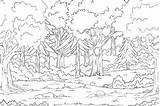 Rainforest Layers Coloring Page sketch template