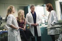 Sloan Riley | Grey's Anatomy Universe Wiki | FANDOM powered by Wikia