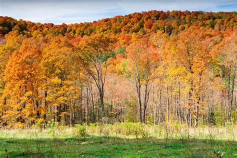 Pomfret, Vermont Fall Foliage 2019 | Anthony Quintano | Flickr