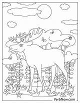 Free MOOSE Coloring Pages For Download Printable PDF sketch template