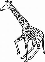 Free Printable Giraffe Coloring Pages For Kids sketch template
