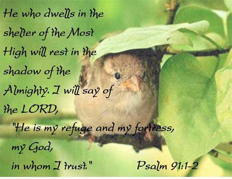 Psalm 91:1-2 | Psalms, Psalm 91, Shadow of the almighty