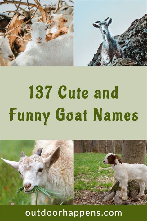 Goat Names That Are Bleatin' Maaaarvelous for Baby and Pet Goats [137 ...