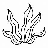Premium Vector  Cartoon Sea Objects With seaweed And Coral Outlined sketch template
