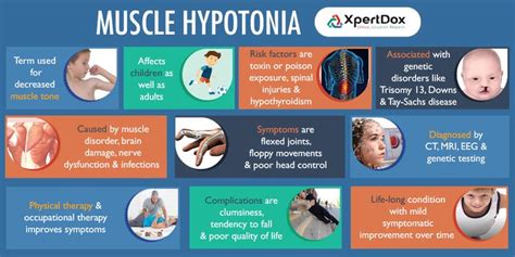 Muscle Hypotonia - Commonly known as floppy baby syndrome, is a state ...