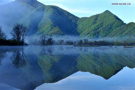 Images of the Most Spectacular Forest of China: Shennongjia