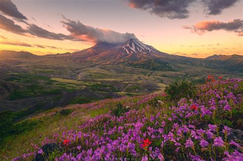 Recovery | Mt St Helens, Washington Cascades | Scott Smorra