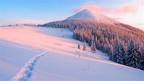 Snowy Trail [3840 x 2160] | Fond ecran hiver, Fond d'écran ordinateur, Fond ecran montagne