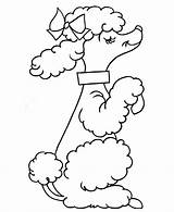 Poodle Skirt Coloring Page  Home sketch template