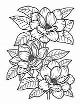 Premium Vector  Magnolia Flower Coloring Page For Adults sketch template