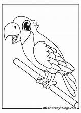 Printable Parrots Coloring Pages Updated 2021 sketch template