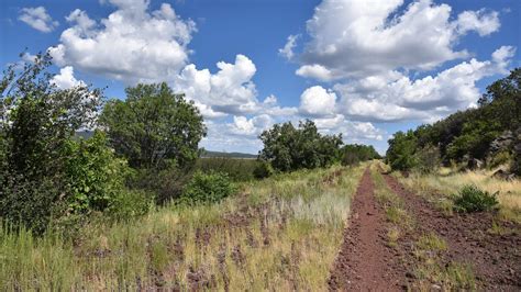 Mormon Lake wildlife hike: 'Berry Road' south of Flagstaff, Arizona